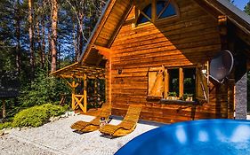 Smerekowiec Domek w lesie - Beskid Niski